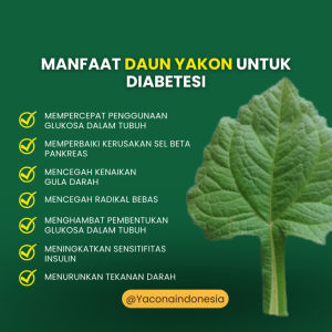 Yacon Obat Gula Darah Sembuhkan Diabetes Secara Alami Tanpa Efek Samping
