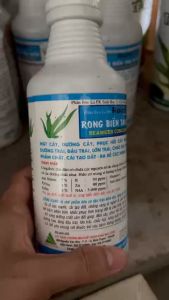 Phân bón lá Roots 2 Rong biển Tảo biển (Chai 500mL)-Dưỡng rễ phục hồi cây đậu lớn trái