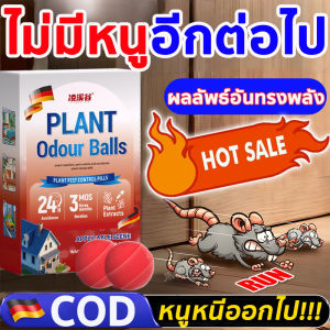 🐭ปลอดหนูตลอดทั้งปี🐭ยาเบื่อ หนู ตายไม่มีกลิ่นเหยื่อกำจัดหนู ตายกลางแจ้ง ตายแห้งไม่เหม็น ยาเบื่อหนู ของแท้ 100% ยาฆ่าหนู 1ฟรี1 ยากำจัดหนู ไม่มีหนูทั้งปี เหยื่อกำจัดหนู