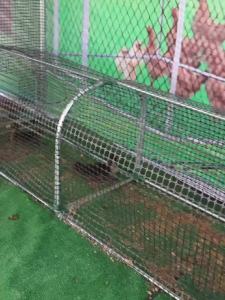 Chicken Coop Quail Cage Chicken Cage Free Encryption Chicken Coop Thickened Outdoor Dedicated