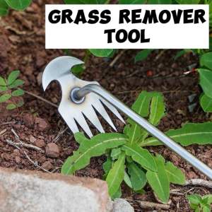 Grass Remover Tool Alat Cabut Rumput Gardening Weeding Cleaner Pencakar Rumput 除草