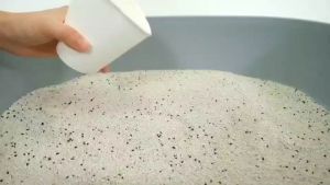 ราคาสุดคุ้ม ทรายแมว Cat walk  ทรายแมวอนามัย เกรดพรีเมี่ยม