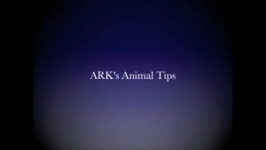 Animal tip - large.mp4