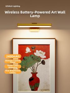 EZVALO | Remote Controlled No-drilling Wireless Wall Light for Photo Display