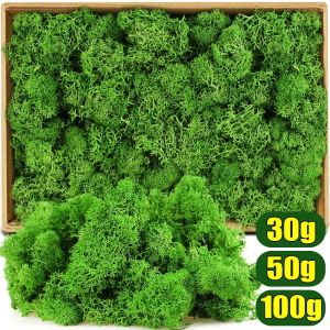 New Artificial Moss Plants Simulation Immortal Moss Micro Landscape Flower Moss for Plant Wall Home Garden Decor DIY Crafts Gift