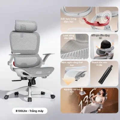 Musso | Ghế Văn Phòng & Ghế Chơi Game Ergonomic Dành Cho Ngồi Lâu