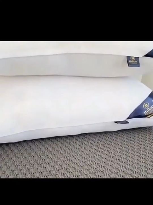 Hilton Hotel Pillows