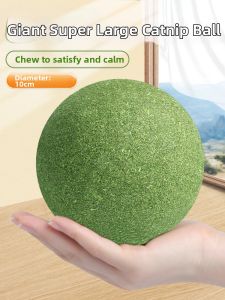 XIAOGUSHI | Entertainment Teaser Durable Cat Toy