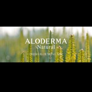 Aloderma Aloe Vera Gel Nourishing After Sun Repair Skin Care Products Two-piece Set(200g Gel+240ml Aloe Vera Skin Hydrator)