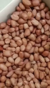 Kacang Tanah Mentah Super 1 Kg Kacang Tanah Super Jumbo Random Kacang Suuk