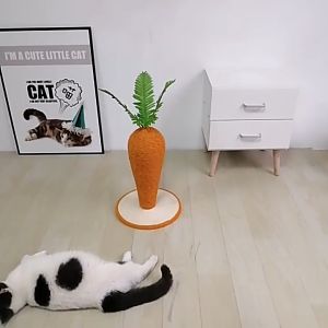 Trụ Cào Móng Mèo Hình Cà Rốt