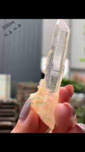 清透白水晶柱平价利姆利亚 ｜ 明显横纹 ｜ 原底黄泥 🔮Budget Lemurian Clear Quartz Tower   #clearquartz #白水晶 #横纹柱 #水晶盆景 #能量释放
