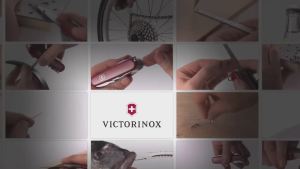 Móc khóa Victorinox 4.1835 Coupling 25 mm - Hãng phân phối chính thức
