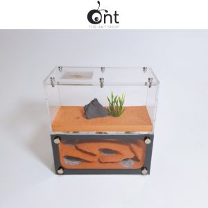 Ant Farm - The Cosy Underground Formicarium - Ant Keeping Ant Farm Ant Nest Ant Formicarium Ant Cages Ant Feeding