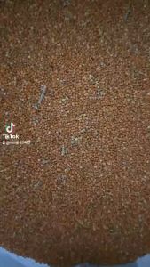 3kg Hạt kê nhỏ kê đỏ hạt bóng cho chim cu gáy Vẹt chim Yến Phụng chim cảnh Hamster và các dòng chim sẻ