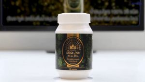 ปัณจะ ภูตะ ชนิดแคปซูล สมุนไพร 39 ชนิดของกิฟฟารีน ทานง่ายพกพาสะดวก สร้างสมดุลให้ร่างกายคุณ บรรจุ 138แคปซูล giffarine