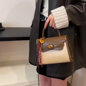 Grosir Import Jakarta SNSD-89291 Tas Louis Shidai Free Paper Bag & Certificate 438 Tag Label Tas Bahu Wanita Best Seller