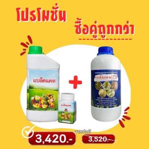 ปุ๋ยแบล็คแคท แบล็คแคทวัน