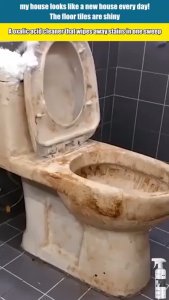 Multi-Purpose Oxalic Acid Stain Removal Cleaning Spray 300ml Oxalic Acid Cleaner Toilet Bathroom Tile Cleaning Agent Scandinavian