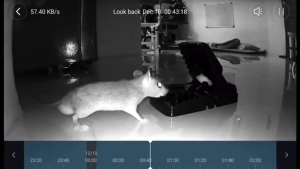 [ YM ACC ] Perangkap Tikus Joni Cat Double Spring / Jebakan Tikus Jepit Umpan Pest Control Reuseable Hitam