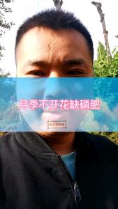 魔肥 Slow Release Flowering Orchid Fertilizer Baja Berbunga Orkid Bertahan Lama 魔肥长效缓释肥 兰花 适合所有开花植物  flower blooming 开花肥