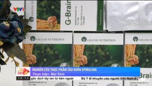 Cốm Trí Não G Brain Hỗ Trợ Phát Triển Trí Não