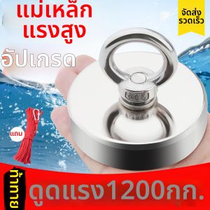 ZAVE | High Strength NdFeB Magnet Retrieval Hook