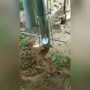 Alat Tanam Sayur Tancap Manual Simple Planter Jagung Kacang Tanah Kedelai Benih Biji-Bijian