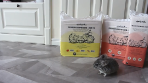 Emily Pets Premium Compressed Wood Shaving / Hamster Chinchilla Small Animals Bedding Flakes 15.5L 1KG