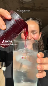 ( Buy 1Take 1) Hibiscus Tea Organic Original Hibiscus Dried Flower Tea Herbal Tea Bag Gumamela Flower