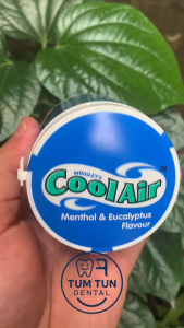 Kẹo Sing-Gum Cool Air Doublemint – Bạc Hà Khuynh Diệp Quả Mọng Trái Cây