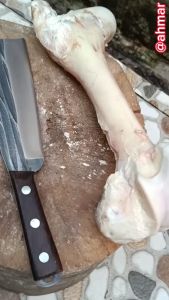 Pisau Berkebun Pisau Pemotong Kayu Bilah Baja Premium yang Ekonomis