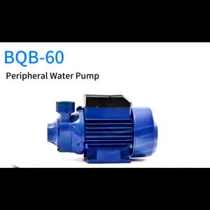 REAIM 0.5HP 450W Self-Priming Jet Water PumpBooster Pump 40L/Min Flow for Household and Garden Water Transfer