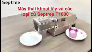 Máy cắt khoai tây khoai lang và các loại củ quả thương hiệu Mỹ cao cấp Septree T1000 - Công suất 650W - Hàng chính hãng (BH 12 THÁNG)