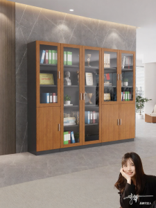 Glass-Doored Lockable Office Filing Storage Cabinet