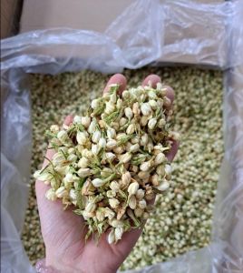 ✅[HÀNG THƯỢNG HẠNG] Trà Hoa Nhài (Hoa Lài) 100gr Sấy Khô Nguyên Bông Trắng Đẹp Thượng Hạng