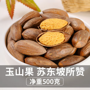 New Stock Yongshanchi Pine Nuts in Can And Bag Packaging Special Product from Zhejiang Province Yellow Li Dongyang Yu Mountain
