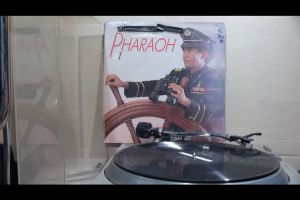 1 แผ่นเสียง 12นิ้ว J65 ฟาโรห์ ตอยยีบี หัวใจชา แผ่นVG ริ้วรอยบาง เสียงรบกวนเล็กน้อย ไม่มีรอยลึก ปกVG+มีตำหนิขอบนิดหน่อย ขอบขาด สันทะลุ แผ่นได้รับการล้างทำความสะอาดแล้ว