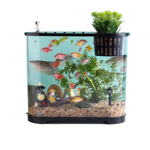 KUOTING | Clear Desktop Aquarium Creative Fish Tank With Lid