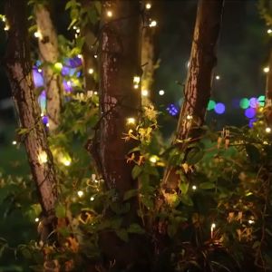 ไฟประดับ ไฟประดับโซล่าเซลล์ ไฟตกแต่ง ไฟตกแต่งร้าน ไฟคริสต์มาส ไฟปีใหม่ ไฟปาร์ตี้ ไฟระย้า ไฟแต่งสวน ไฟเทศกาล ปรับแสงไฟได้ 8 โหมด กันน้ำ ไฟโซล่าเซลล์ ไฟโซล่าเซลล์ ตกแต่ง - Lazada