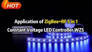 Tuya Zigbee LED Controller 5in1 RGB CCT RGBW RGBCCT DC 12V 24LED Strip Light 4 ZONE RF Touch Panel Smart Life Voice Alexa Home