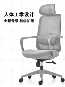 Ergonomic Chair Long-Sitting Comfortable Computer Chair Waist Support Office Chair For Home Study Chair E-Sports Back Seat