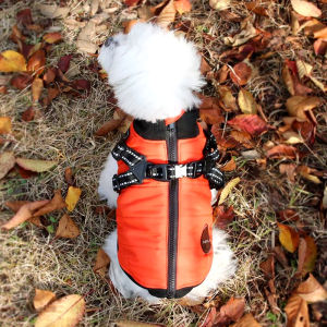 Pet Cotton Jacket Dog Clothes Autumn Winter Simulation down Jacket Teddy Cotton Coat Pomeranian Bichon Small Dogs Winter