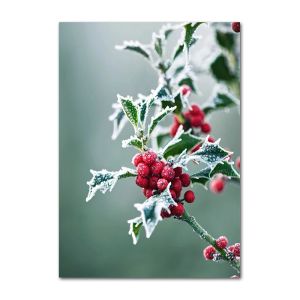 Christmas Tree Ball Decoration Poster Frosted Holly Winter Van Canvas Painting Snowflake Prints Decorative Home Room Picture