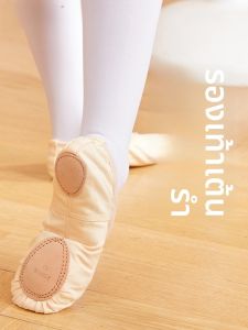 รองเท้าเต้นรำเด็ก Ewig Soft Sole Ballet Shoes รองเท้าเต้นรำแบบสวมสำหรับเด็กผู้หญิง รองเท้าเต้นรำพื้นนุ่ม รองเท้าฝึกงาน เอวโลหะผสม