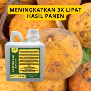 Pupuk Pelebat Kecapi / Pupuk Buah Kecapi / Pupuk Booster Kecapi / Pupuk Kecapi