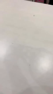 Bekal Anti Air Lunch Bag Cooler Makanan Anak Tas Lunch Box Karakter Brivilas Lucu Anti Panas Dingin