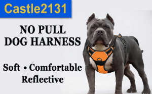 Reflective No Pull Dog Harness Adjustable Nylon Pet Vest Padded Safety Harness with Leash Control for Small Medium Large Dogs Outdoor Durable