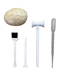 Excavation kit birthday present dinosaur animals gift
