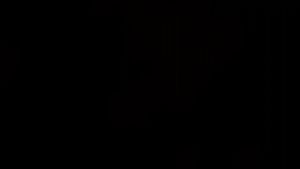 Đèn pin chuyên dụng nhỏ gọn FENIX PD36R độ sáng 1600lm chiếu xa 283 m pin 21700 5000mAh cổng sạc Type-C Đèn Đèn pin